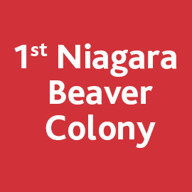 1st-Niagara-Beaver Colony